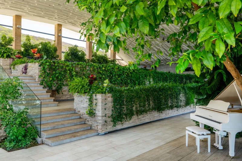 The Body as Blueprint: How Luxury Residences Are Being Built Around Human Health
